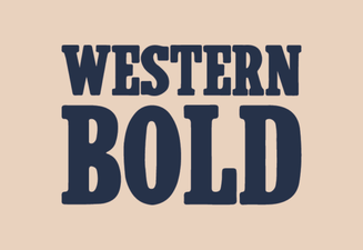 Bold Western Style Font for Creative Design Projects