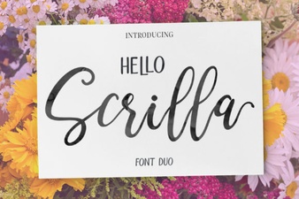 Hello Scrilla Script Font Design Ideas